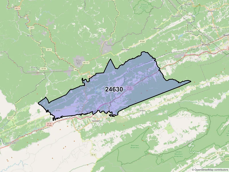 Map of North Tazewell, Virginia and ZIP codes