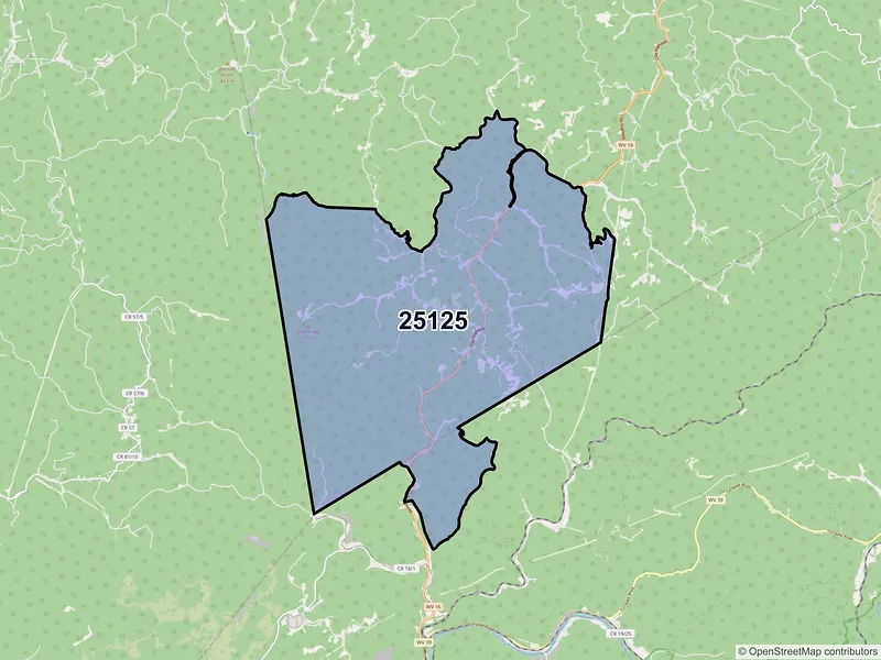 Map of ZIP Code 25125 — Lizemores, WV