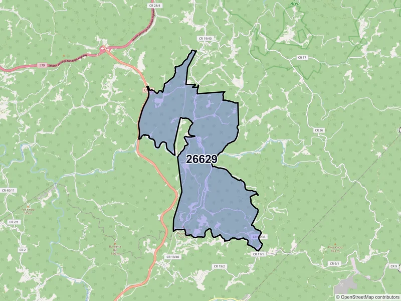 Map of Little Birch, West Virginia and ZIP codes