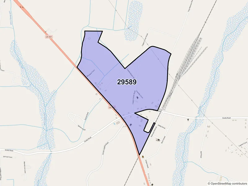 Map of Rains, South Carolina and ZIP codes
