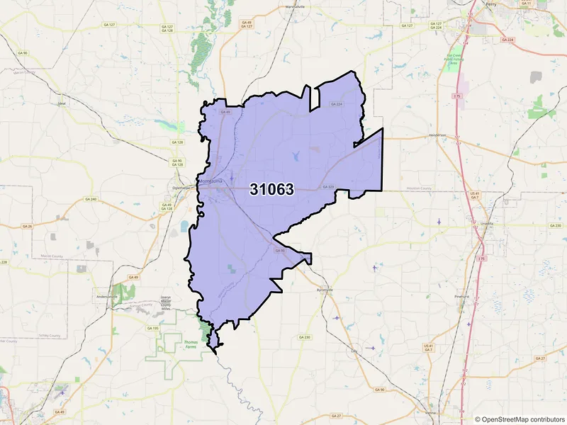 Map of ZIP Code 31063 — Montezuma, GA