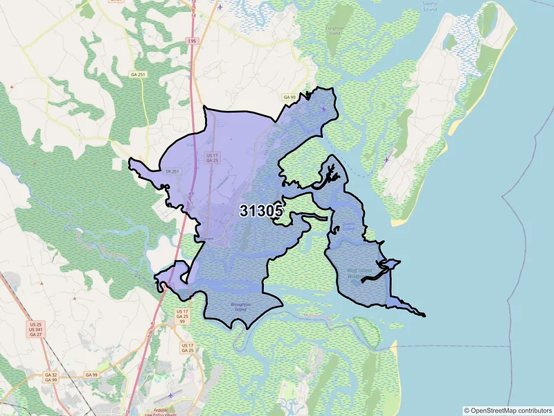 Map of ZIP Code 31305 — Darien, GA