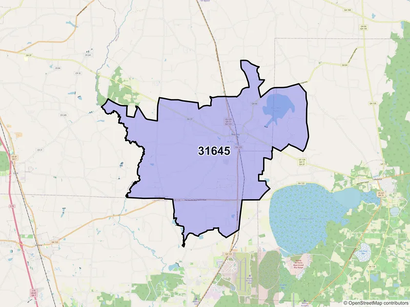 Map of Ray City, Georgia and ZIP codes