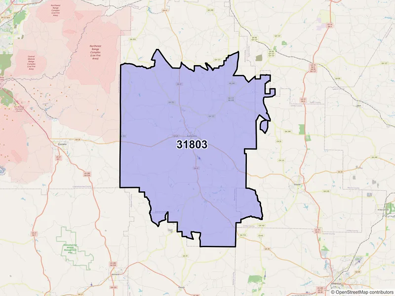 Map of ZIP Code 31803 — Buena Vista, GA