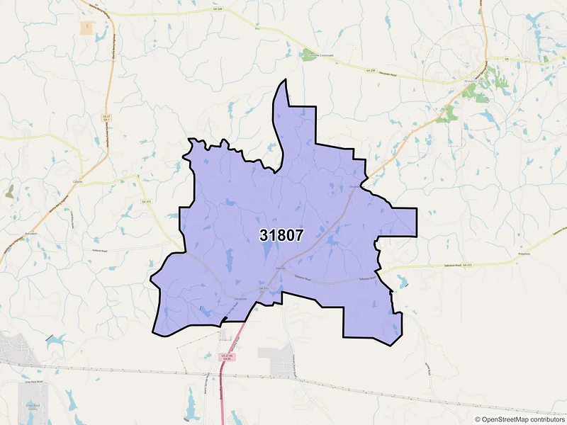 Map of ZIP Code 31807 — Ellerslie, GA