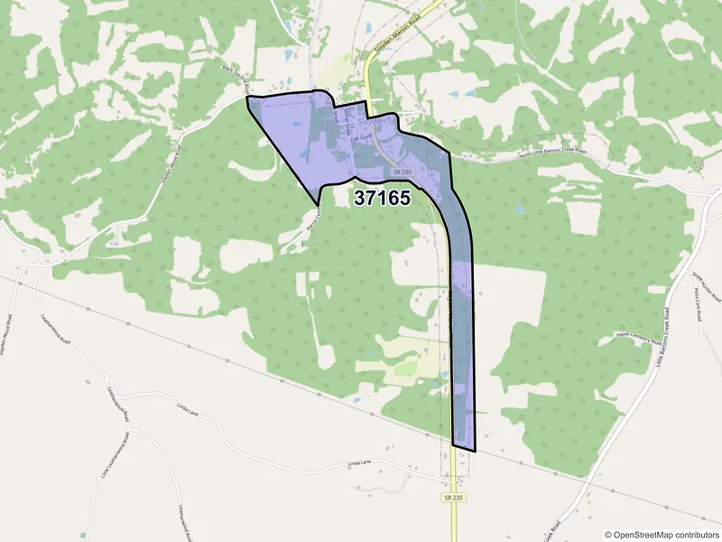 Map of Slayden, Tennessee and ZIP codes