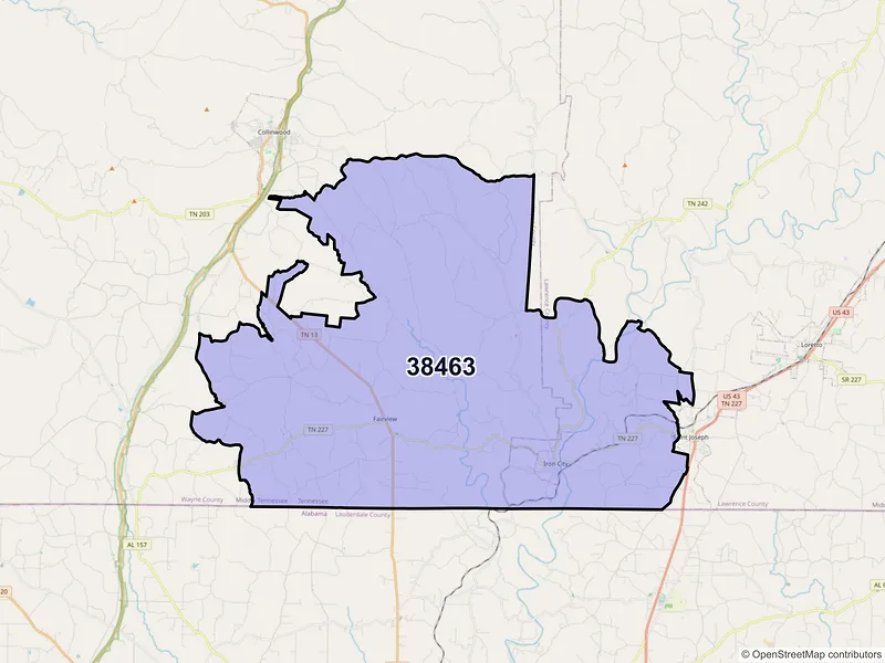 Map of ZIP Code 38463 — Iron City, TN