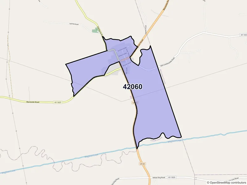Map of Lovelaceville, Kentucky and ZIP codes