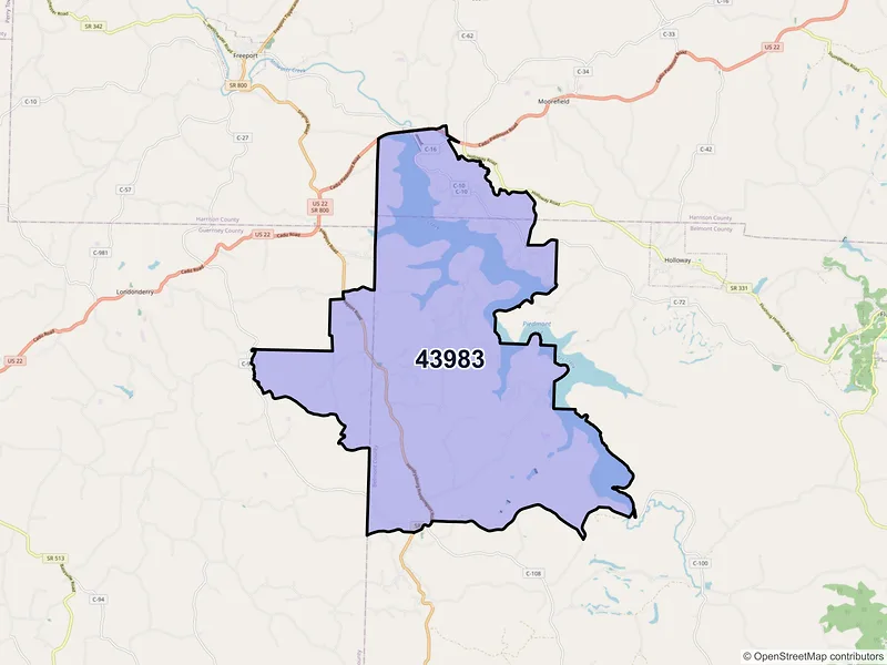 Map of Piedmont, Ohio and ZIP codes