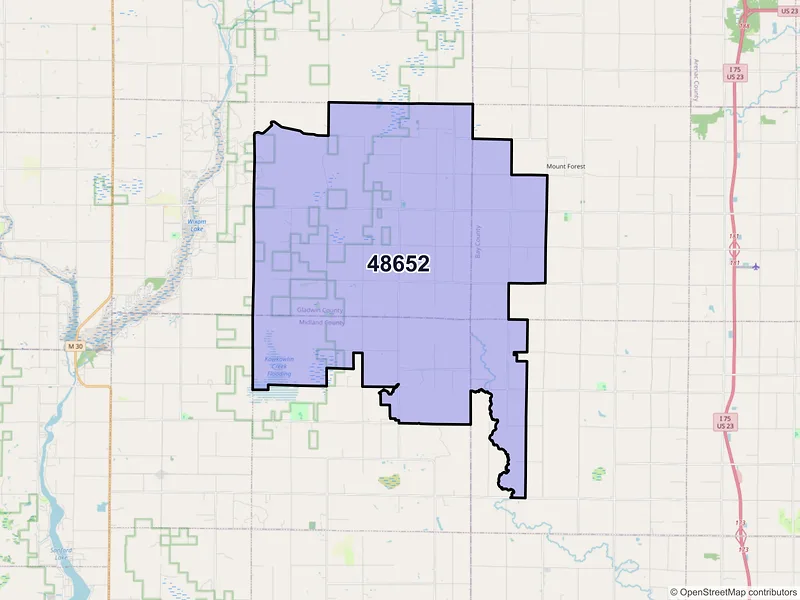 Map of Rhodes, Michigan and ZIP codes
