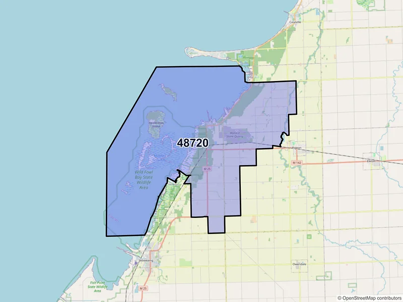 Map of ZIP Code 48720 — Bay Port, MI