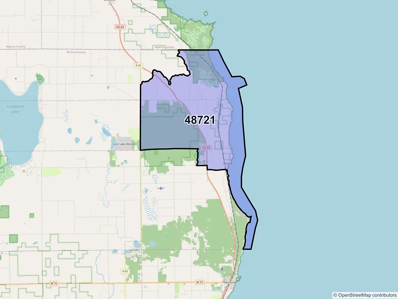 Map of ZIP Code 48721 — Black River, MI