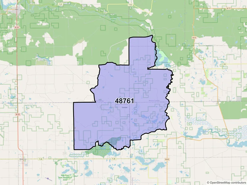 Map of South Branch, Michigan and ZIP codes