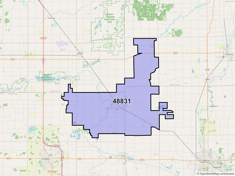 Map of ZIP Code 48831 — Elsie, MI
