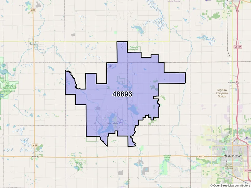 Map of ZIP Code 48893 — Weidman, MI
