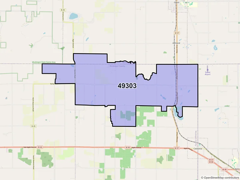 Map of Bailey, Michigan and ZIP codes
