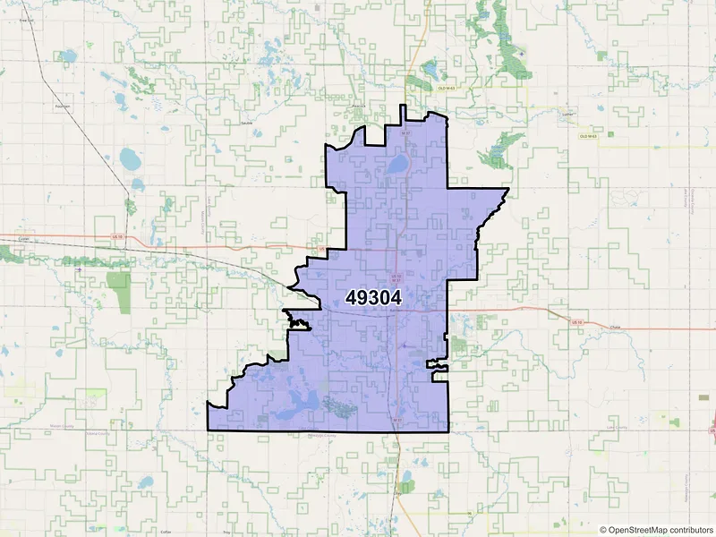 Map of ZIP Code 49304 — Baldwin, MI