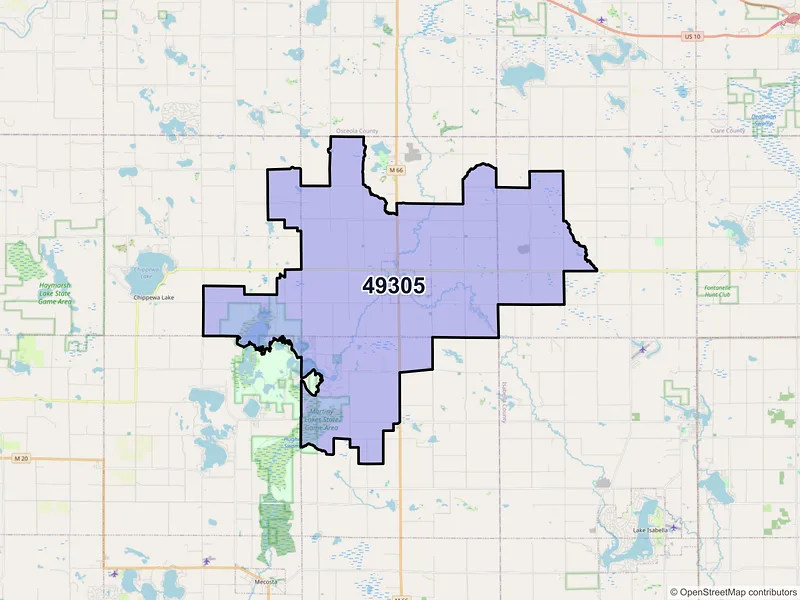 Map of ZIP Code 49305 — Barryton, MI