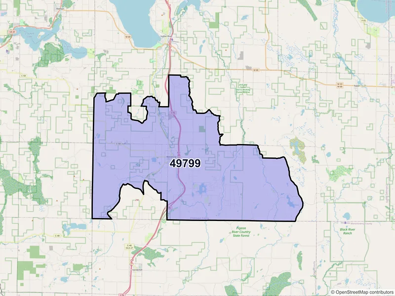 Map of ZIP Code 49799 — Wolverine, MI