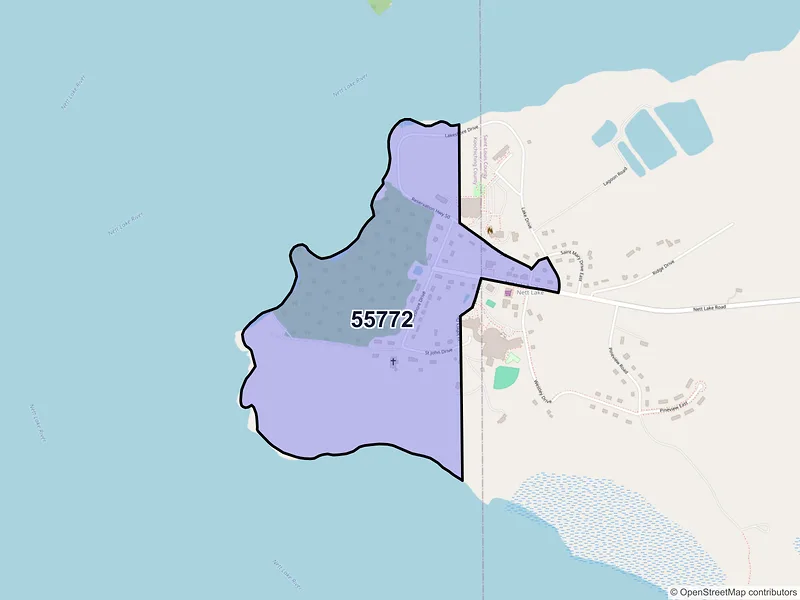 Map of Nett Lake, Minnesota and ZIP codes