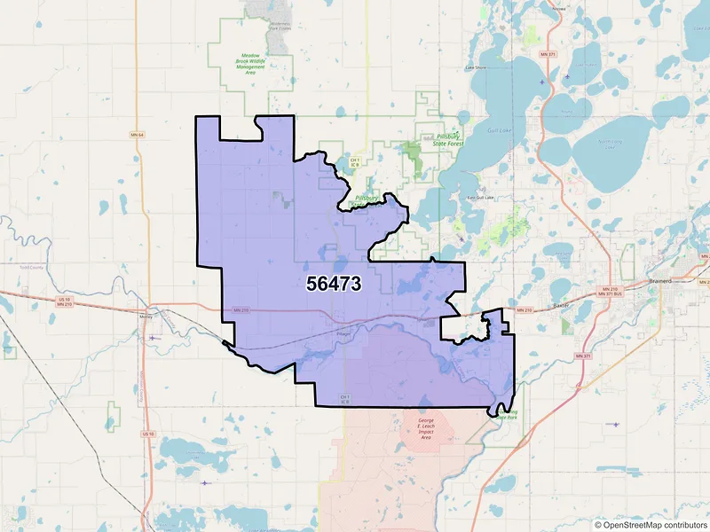 Map of Pillager, Minnesota and ZIP codes