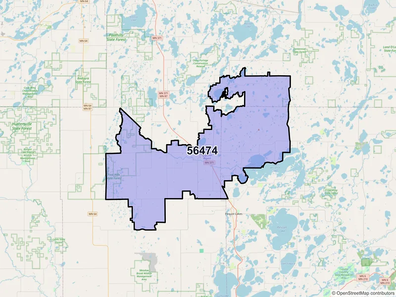 Map of Pine River, Minnesota and ZIP codes