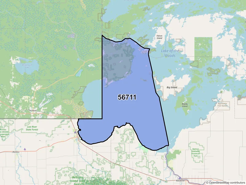 Map of Angle Inlet, Minnesota and ZIP codes