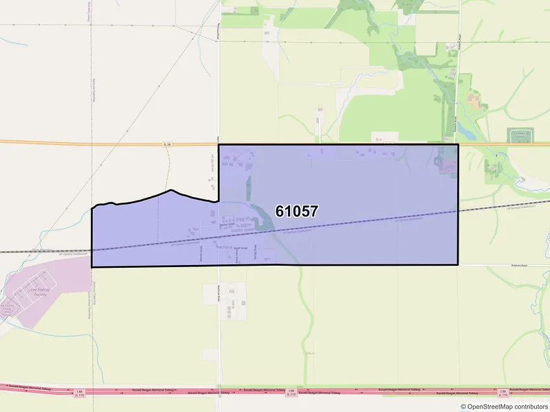 Map of Nachusa, Illinois and ZIP codes