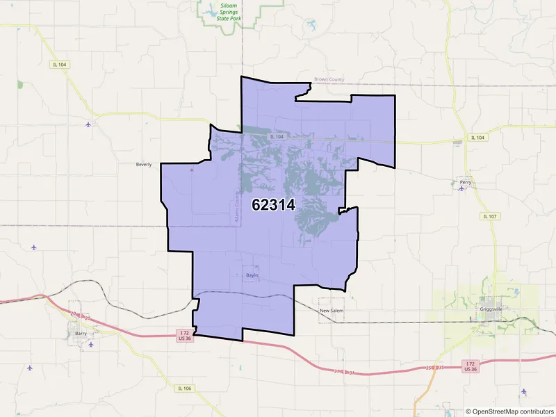 Map of ZIP Code 62314 — Baylis, IL