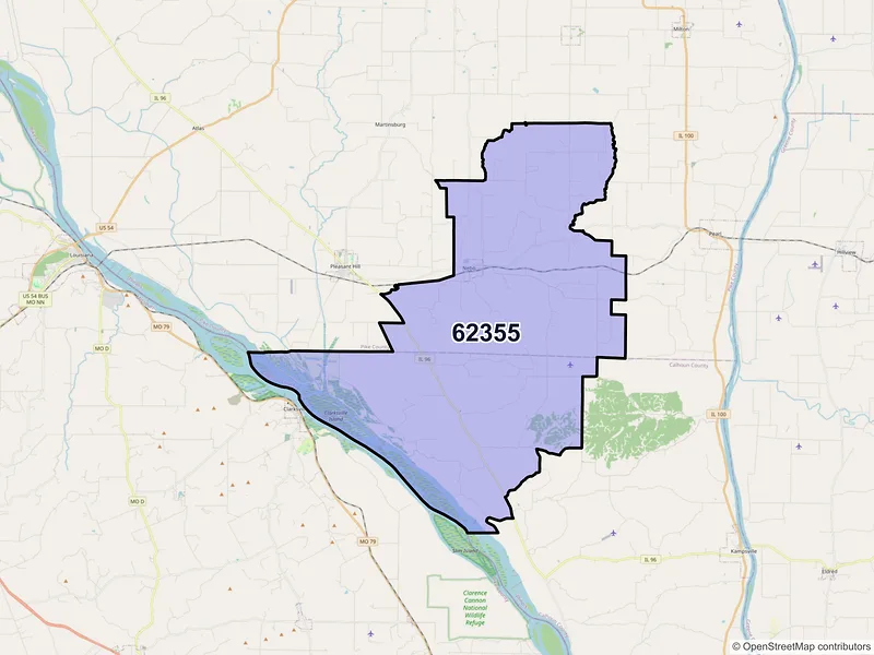 Map of Nebo, Illinois and ZIP codes