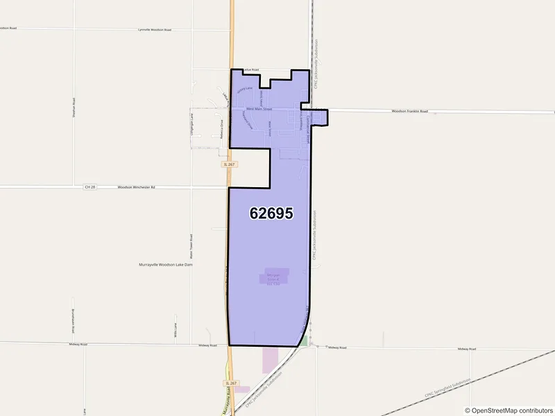 Map of Woodson, Illinois and ZIP codes