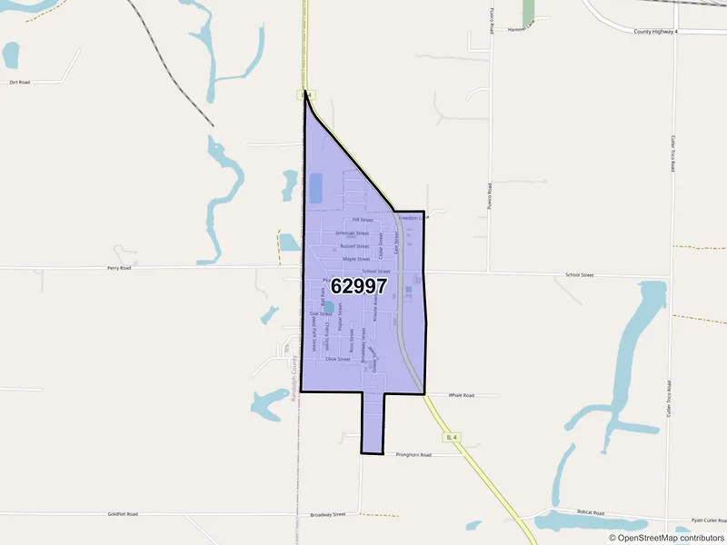 Map of Willisville, Illinois and ZIP codes