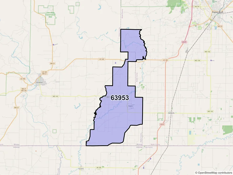 Map of Naylor, Missouri and ZIP codes