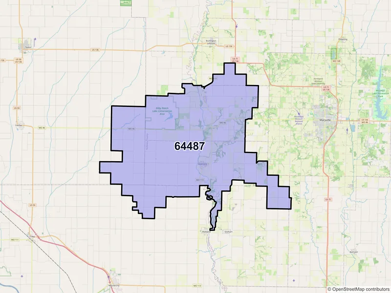 Map of Skidmore, Missouri and ZIP codes