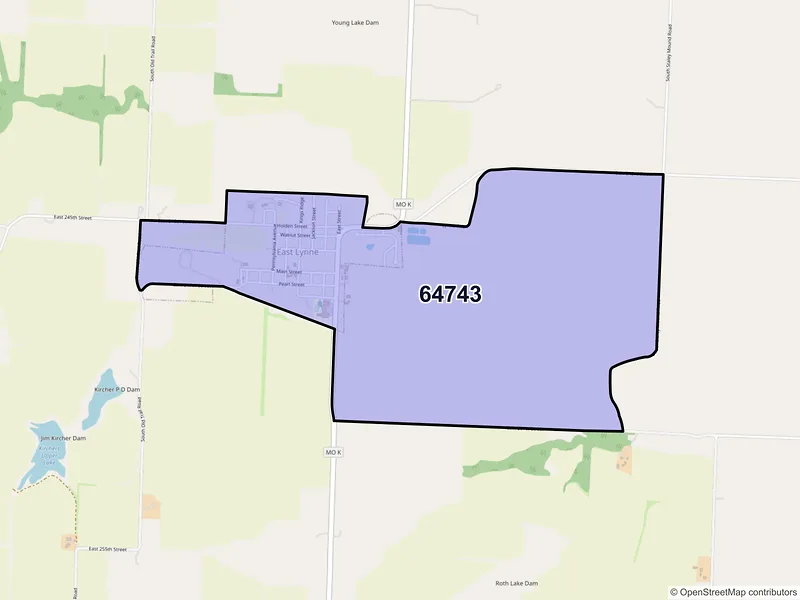 Map of East Lynne, Missouri and ZIP codes