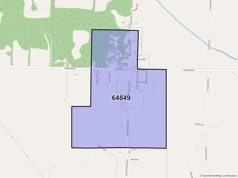 Map of Neck City, Missouri and ZIP codes