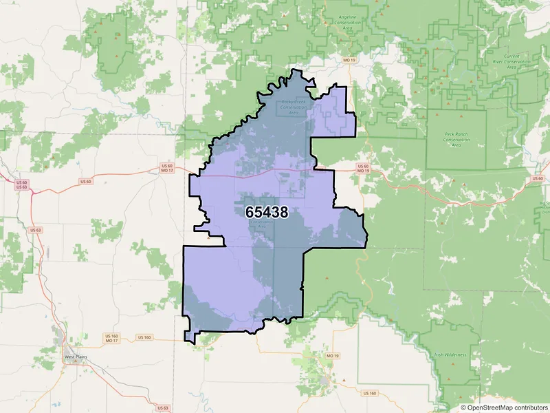 Map of ZIP Code 65438 — Birch Tree, MO