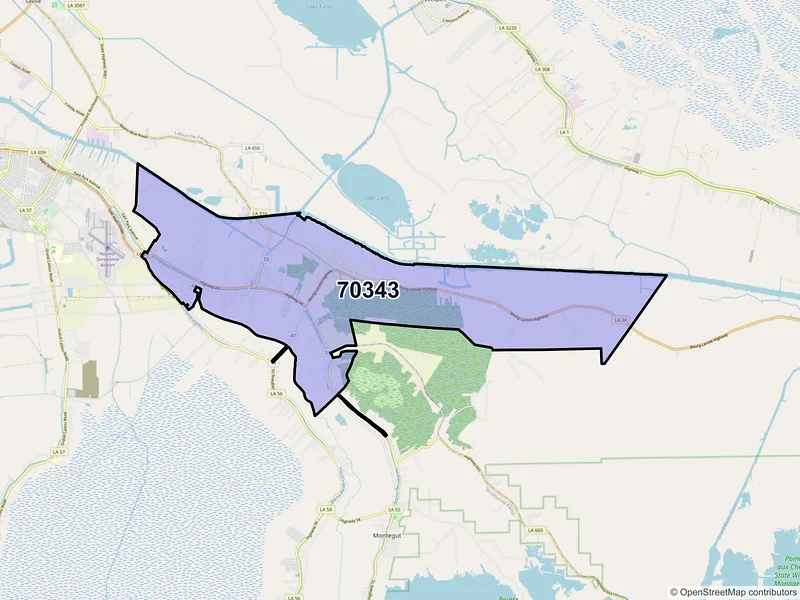 Map of Bourg, Louisiana and ZIP codes
