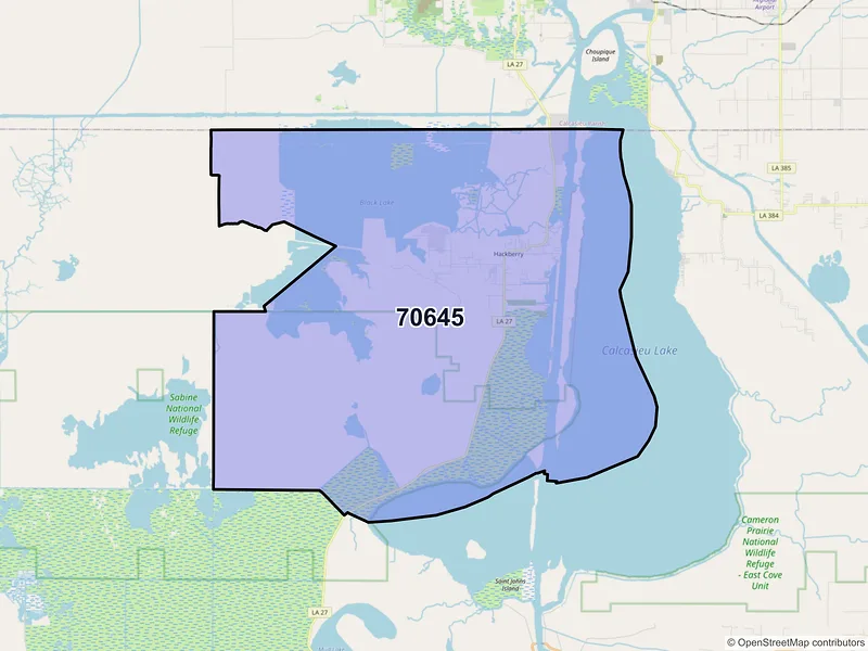 Map of ZIP Code 70645 — Hackberry, LA