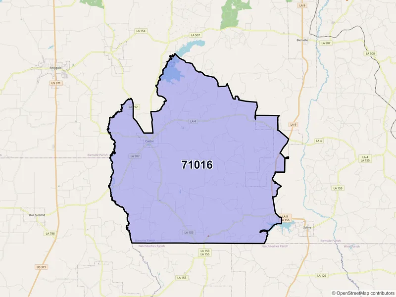Map of Castor, Louisiana and ZIP codes