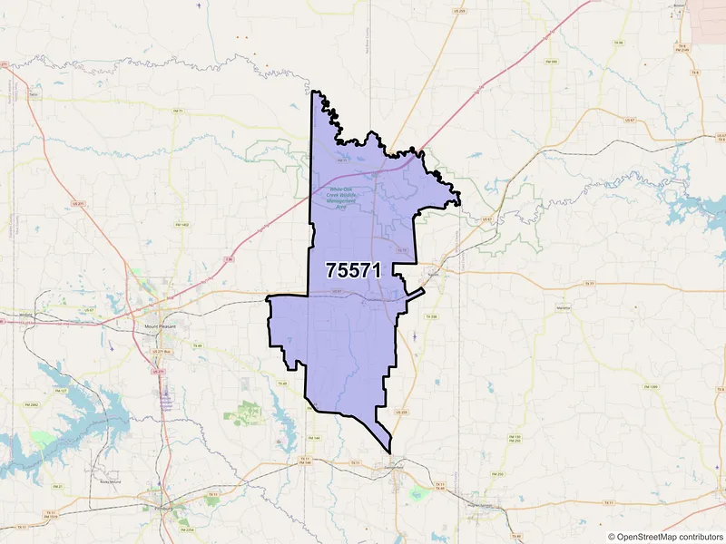 Map of Omaha, Texas and ZIP codes
