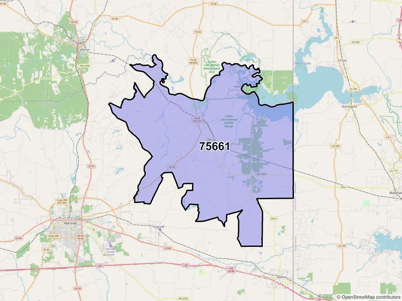 Map of ZIP Code 75661 — Karnack, TX