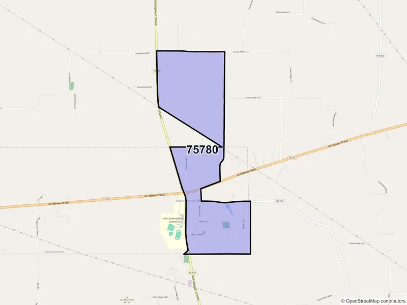 Map of New Summerfield, Texas and ZIP codes