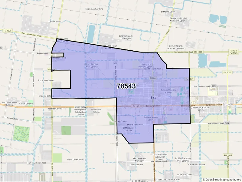 Map of Elsa, Texas and ZIP codes