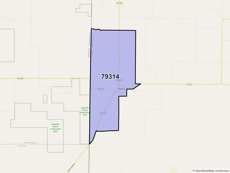 Map of Bledsoe, Texas and ZIP codes