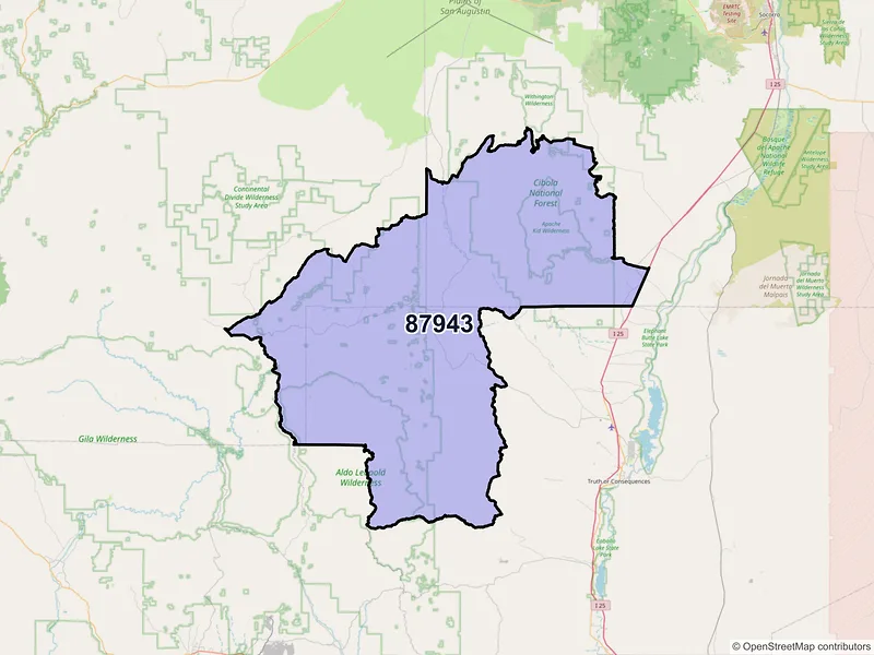 Map of Winston, New Mexico and ZIP codes