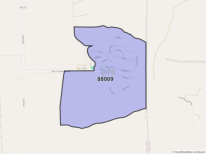 Map of Playas, New Mexico and ZIP codes