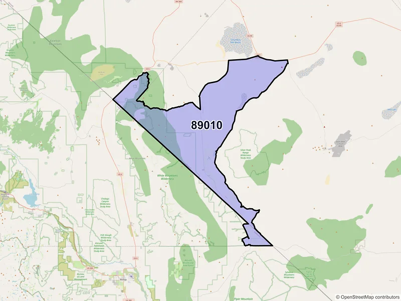 Map of ZIP Code 89010 — Dyer, NV