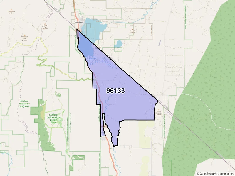 Map of ZIP Code 96133 — Topaz, CA