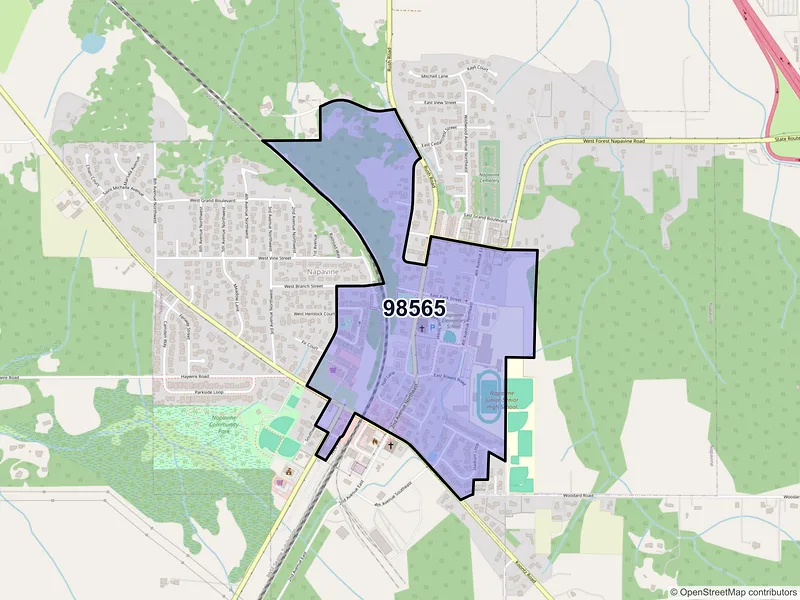 Map of Napavine, Washington and ZIP codes